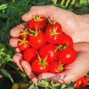 케이에스팜(주) 이미지