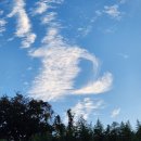 당포성 탐방안내소 | [갤러리타임]경남 통영 산양읍 당포성 탐방