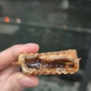 하르당 모래내시장역점 | [하르당] 구월동 붕어빵 맛집