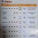 내성리 | 봉화 송이축제 아이와 송이 골든벨 목재체험 후기