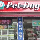 까비애견 이미지