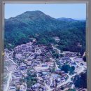 개랑 나들이 이미지