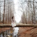 경주숲 3,4 | 경주 경북 천년숲정원 3,4월 여전히 예쁜 이유