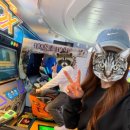 카지노게임랜드 이미지