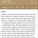 머큐리PC방 | 드디어 보헤미안 랩소디 보고옴! 대박, 전율, 환희(늦은 감동 후기)