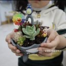 다육환경
