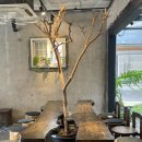 시계태엽더사로 | [ 경주 / 성동동 ] “시계태엽더사로” | 내돈내산 솔직후기 | 경주카페 ,경주읍성카페 , 경주커피...