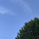 수박디에스티 | 2025.06 | 6월에 뭐했냐며는