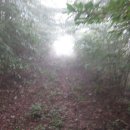 평전농장 이미지