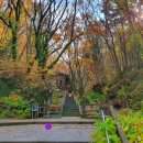 제주불교성지 순례길 절로 가는길 - 인욕의 길 이미지