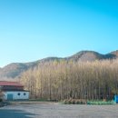 도리보건진료소 이미지