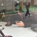 지선이네밥상 | 파이널리 아만핑의 탄생(2025년 11월-2)