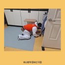 하나방역 동부산지점