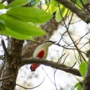 청정발전소 이미지