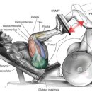 파워휘트니스 | [교대역 헬스장 / 교대PT / 교대헬스 / PT후기] 올데이핏 휘트니스 파워 레그프레스 알아보기!