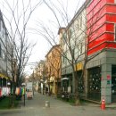 보정동 카페거리 이미지