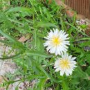 새동안길 이미지