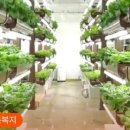 (주)이룸팜 이미지