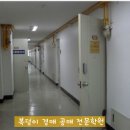 엔투아이 이미지