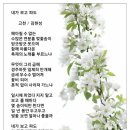 파도 한 송이 이미지