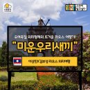 (라오스여행) 노랑풍선 우여곡절 의리형제의 뜨거운 라오스 여행기! "미운우리새끼" - 이상민X김보성 라오스 의리여행 (노랑풍선) 이미지