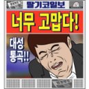 해든빌레 네이버블로그