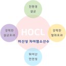 바꺼바헤어