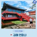 김해 도심 속에 숨어있는 신비롭고 아름다운 절 연화사