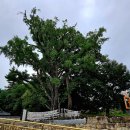 업무시설(오피스텔) 이미지