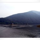 배바위농원 이미지