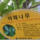 안양천 산책로 이미지