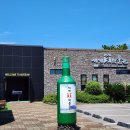 세계술박물관 이미지