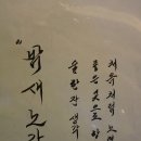 밤새노가리 이미지