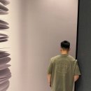 스톤아일랜드 Daum카페