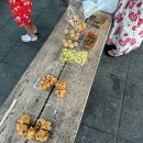 힛포 | 2-3. 유니링크 홈스테이🇯🇵 - 후쿠오카 <5일차~8일차>