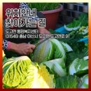도고면 도고면로 이미지