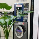 신발운동화이불크리닝