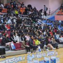 제56회여수거북선기전국남녀배구대회 이미지