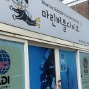 부산 창원 프리다이빙 체험 마린버블다이브 소수정예 추천 맞춤교육 찐 후기