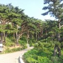 산북막국수