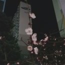 1983도넛