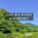 동가래별빛 - 5631 | 동가래별빛