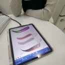 레포르 | 부산서면 자연눈썹 레포르뷰티 시술 후기~!!