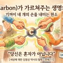 김해수 온누리약국 이미지