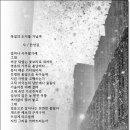 폭설의 도시를 거닐며 - 한상길 이미지