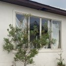 미남미녀 | 제주 서귀포 병과점 미남미녀 카페 &amp; 예약방법 후기