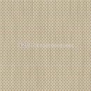 해피데이 이미지