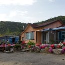 더쉼 민박 이미지