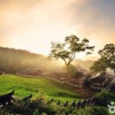 (주)맨투맨투어 이미지