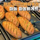 제주마농 | 제주 오드랑베이커리 마농바게트 가격 메뉴 내돈내산 후기